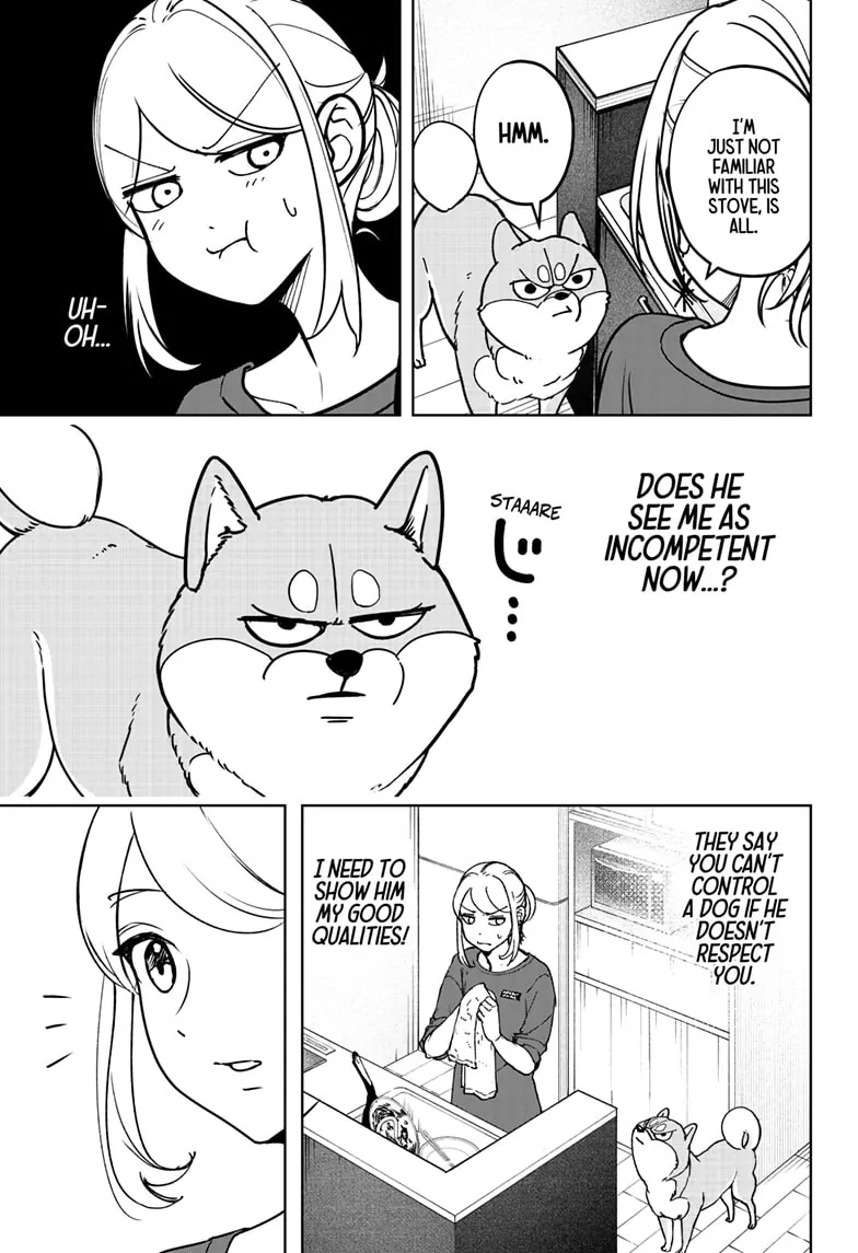 Shiba Inu Rooms - Chapter 7