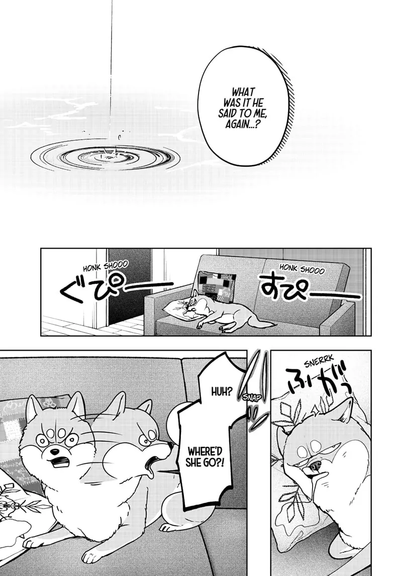 Shiba Inu Rooms - Chapter 7