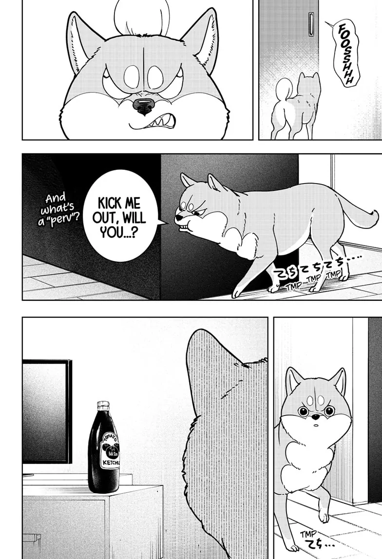 Shiba Inu Rooms - Chapter 7