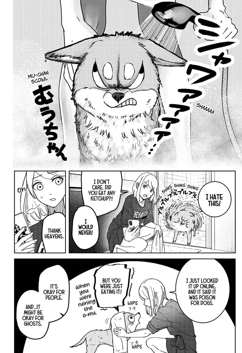 Shiba Inu Rooms - Chapter 7