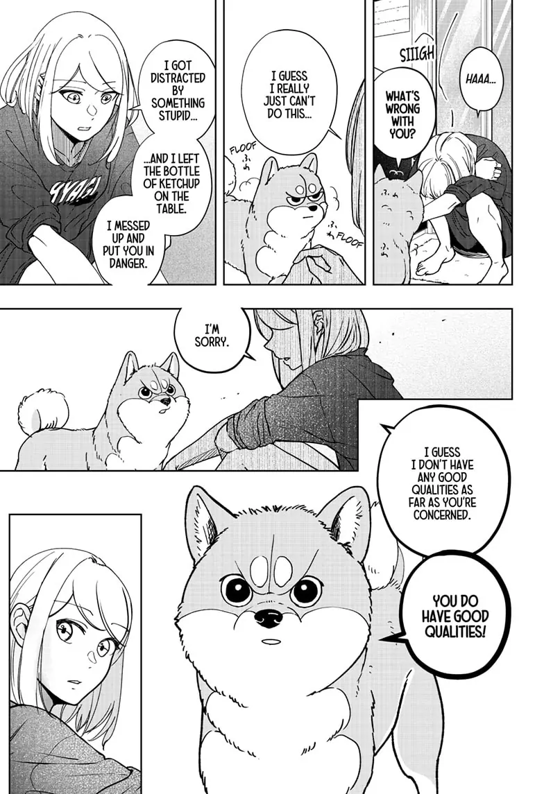 Shiba Inu Rooms - Chapter 7