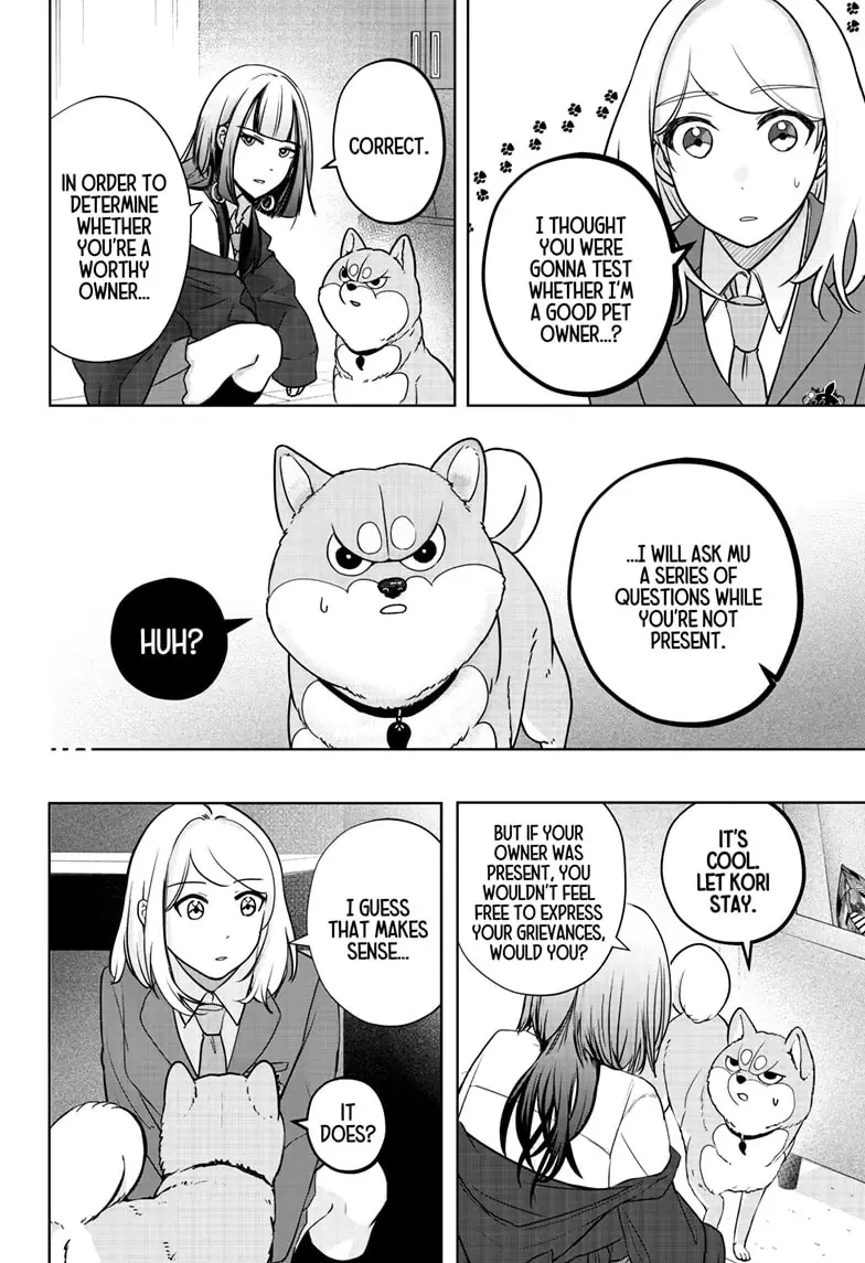 Shiba Inu Rooms - Chapter 14