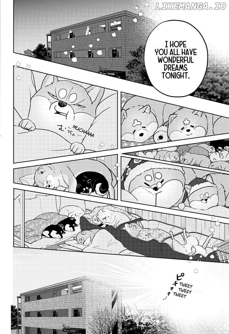 Shiba Inu Rooms - Chapter 17