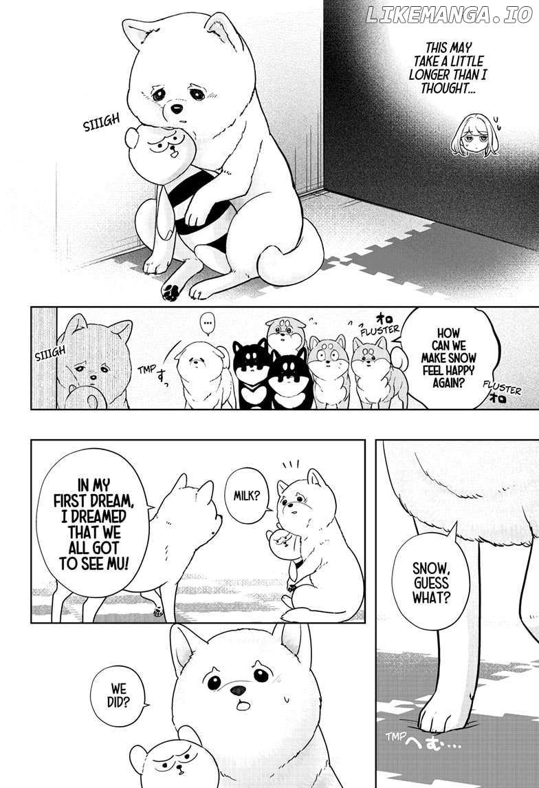 Shiba Inu Rooms - Chapter 17