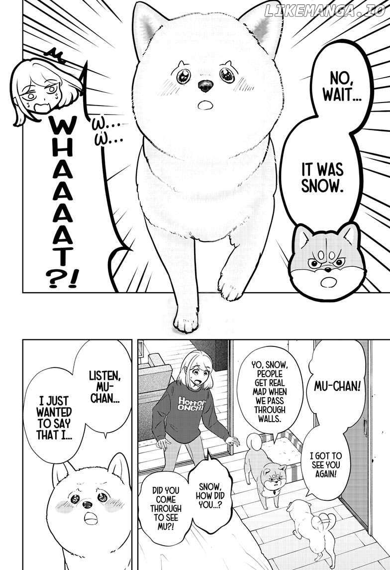 Shiba Inu Rooms - Chapter 17