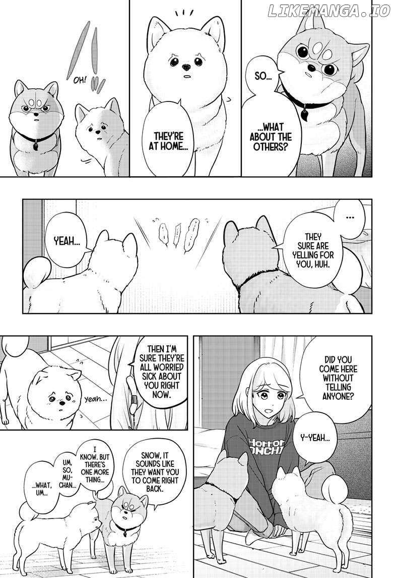 Shiba Inu Rooms - Chapter 17