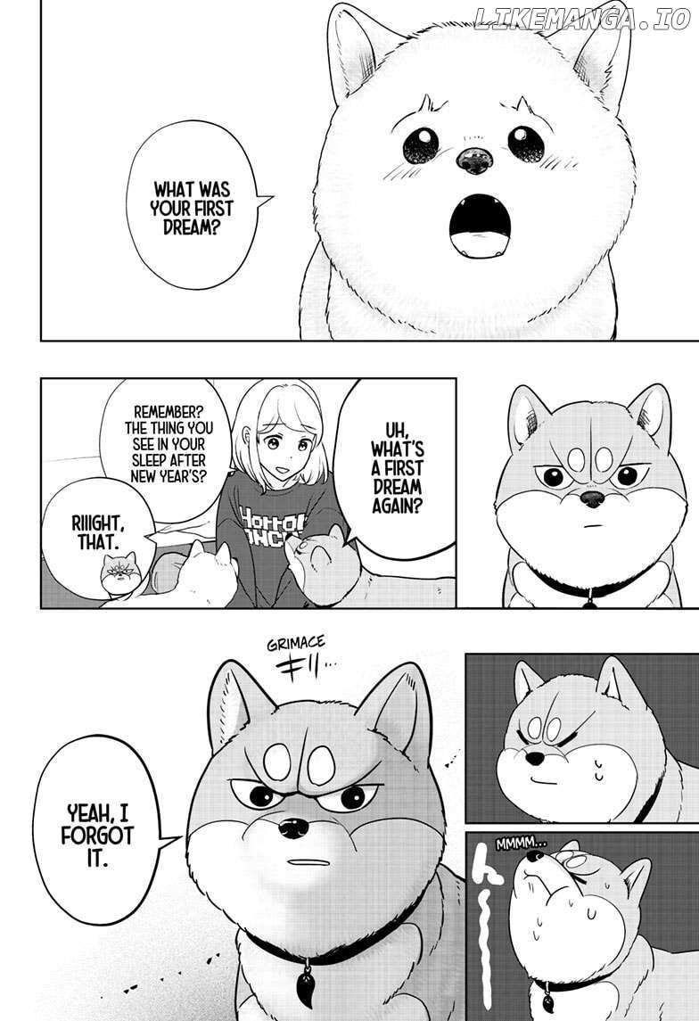 Shiba Inu Rooms - Chapter 17