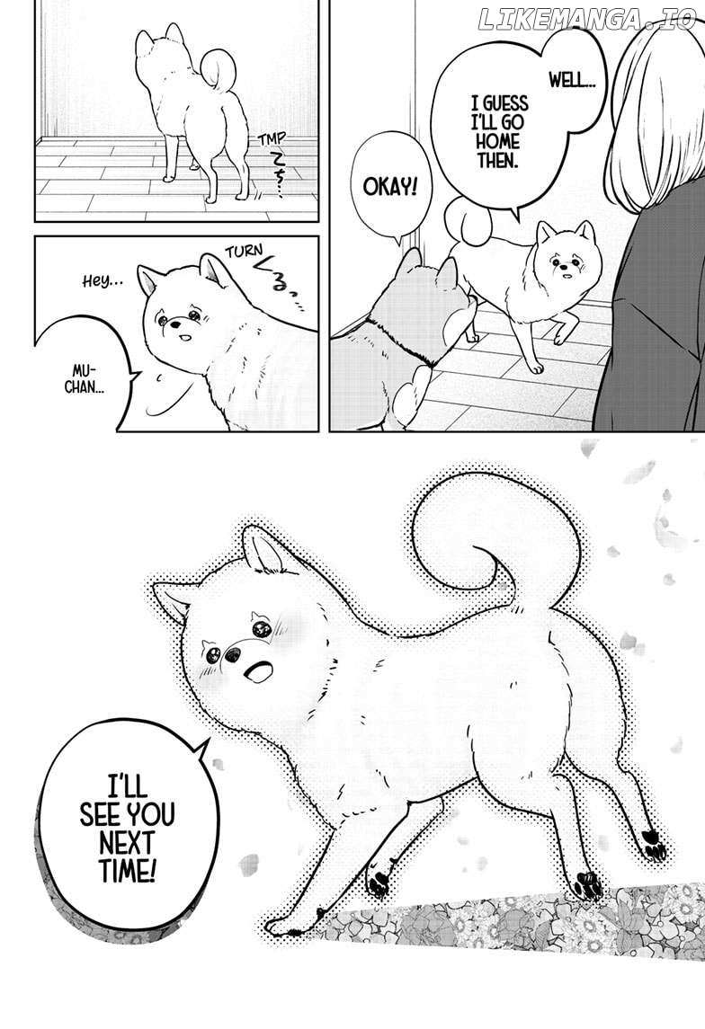 Shiba Inu Rooms - Chapter 17