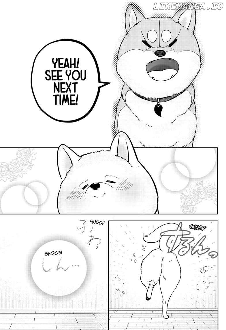 Shiba Inu Rooms - Chapter 17