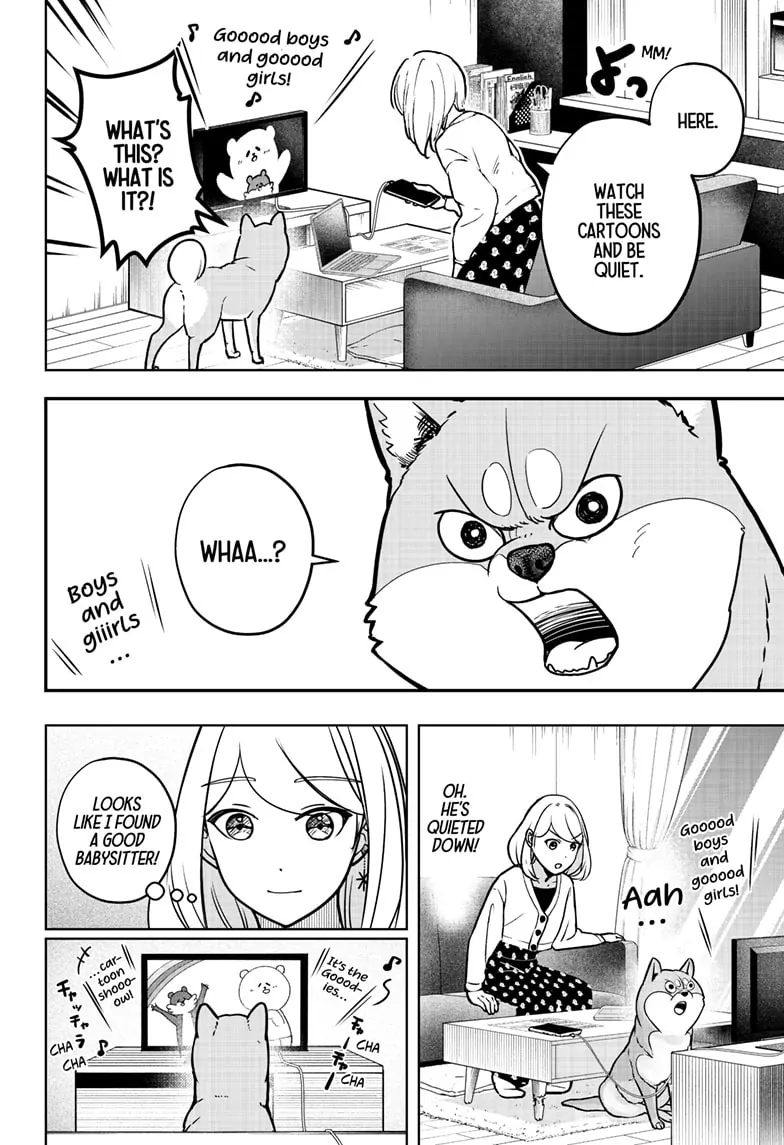 Shiba Inu Rooms - Chapter 6