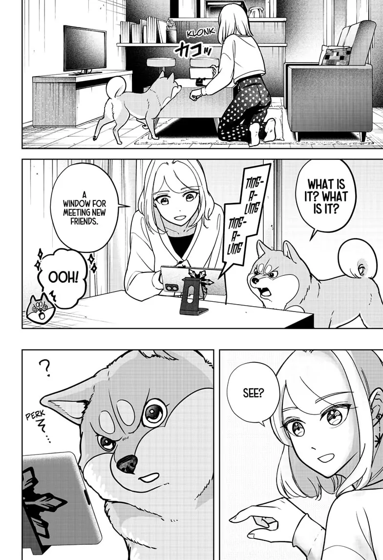 Shiba Inu Rooms - Chapter 6