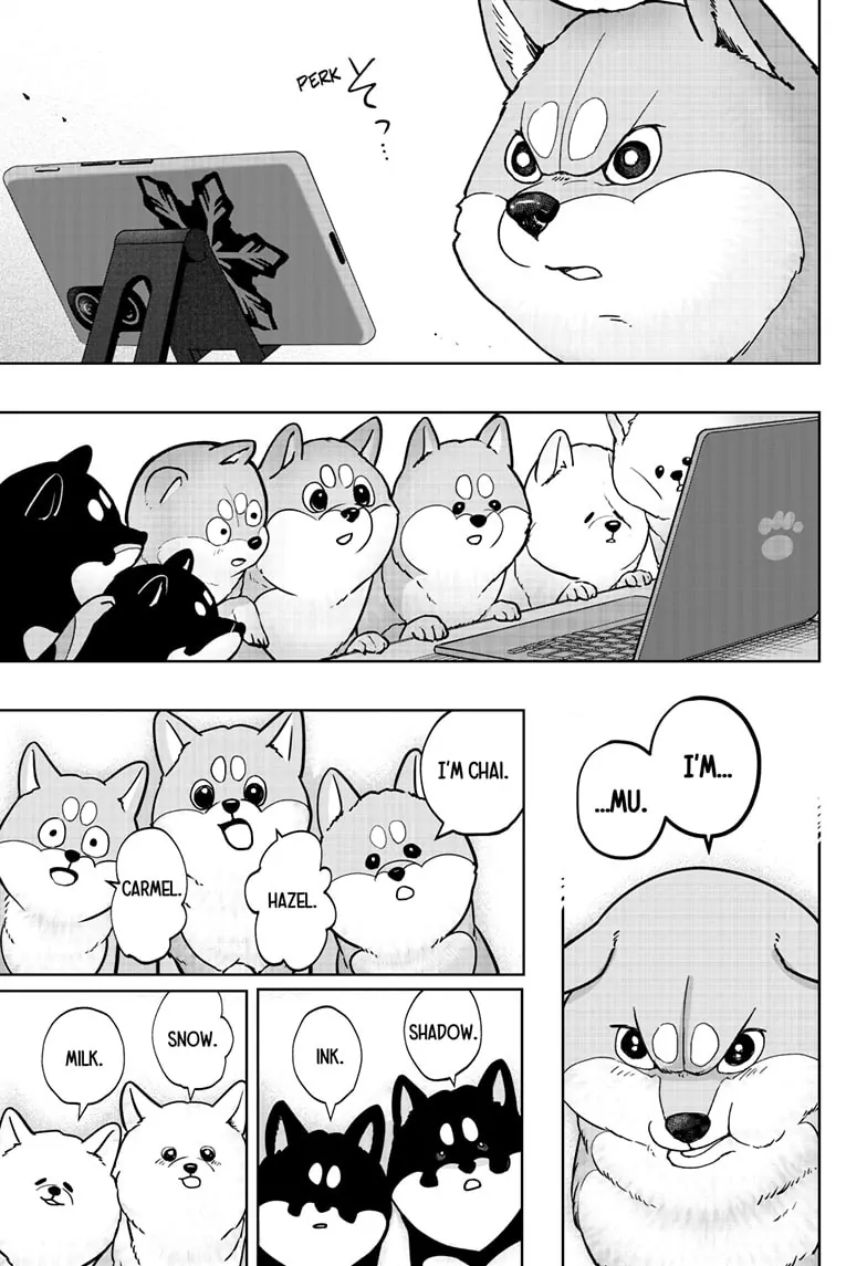 Shiba Inu Rooms - Chapter 6