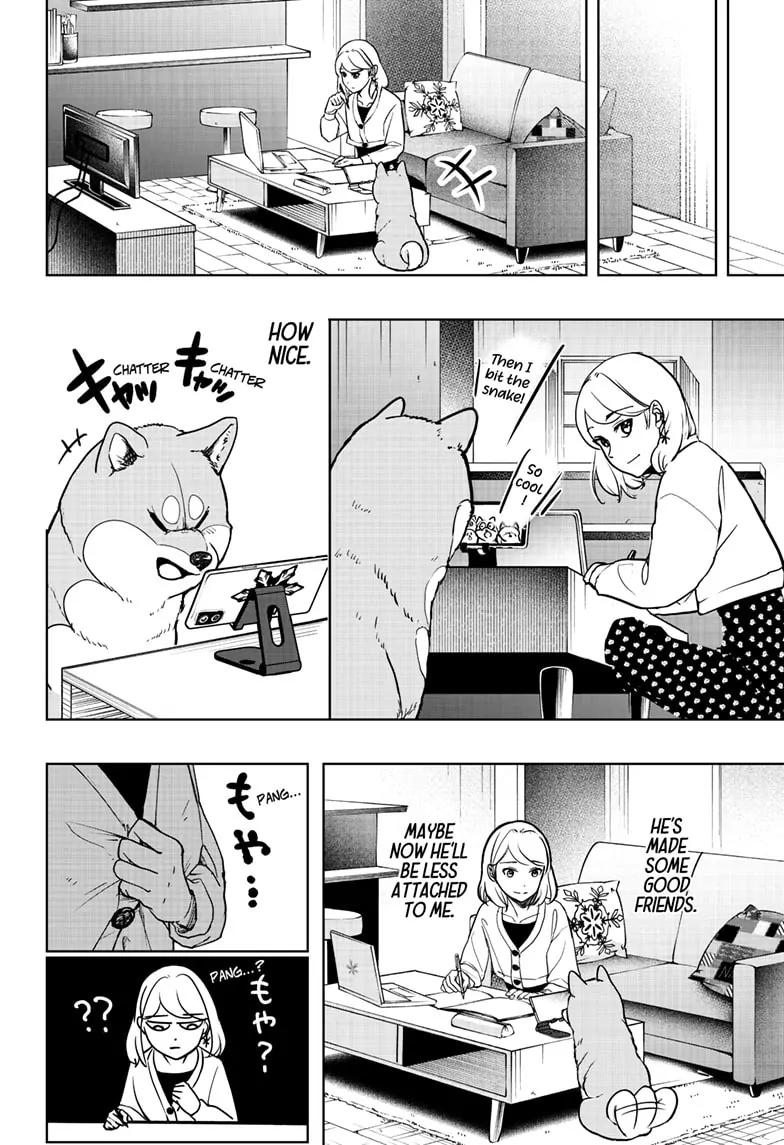 Shiba Inu Rooms - Chapter 6