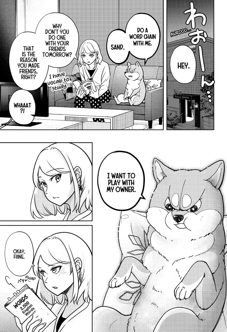 Shiba Inu Rooms - Chapter 6