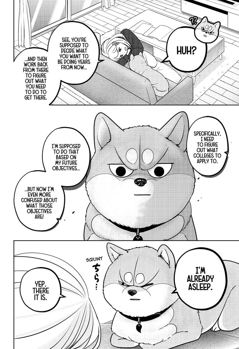 Shiba Inu Rooms - Chapter 18