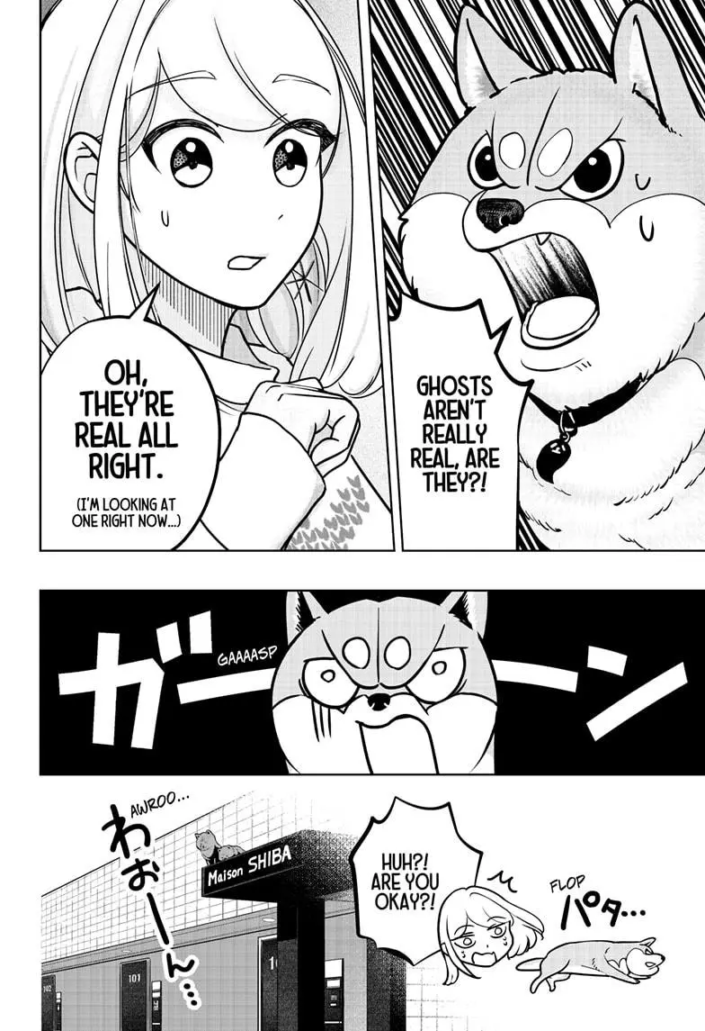 Shiba Inu Rooms - Chapter 12