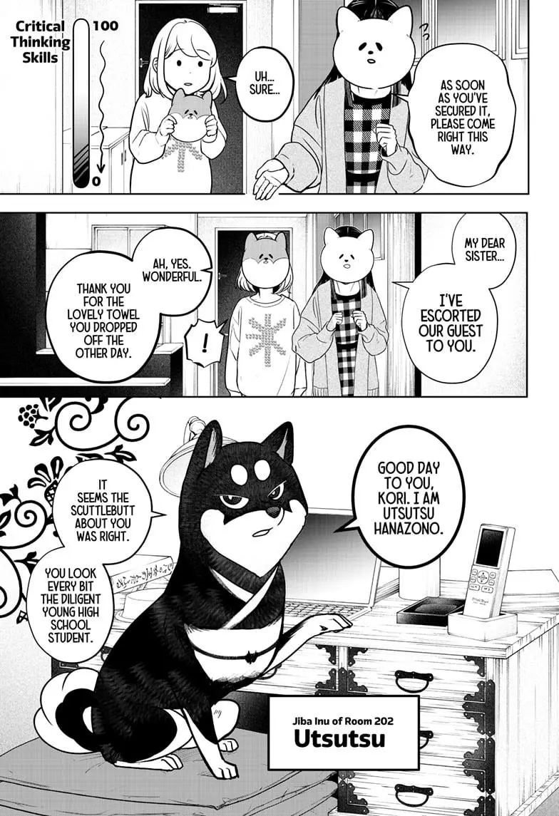 Shiba Inu Rooms - Chapter 12