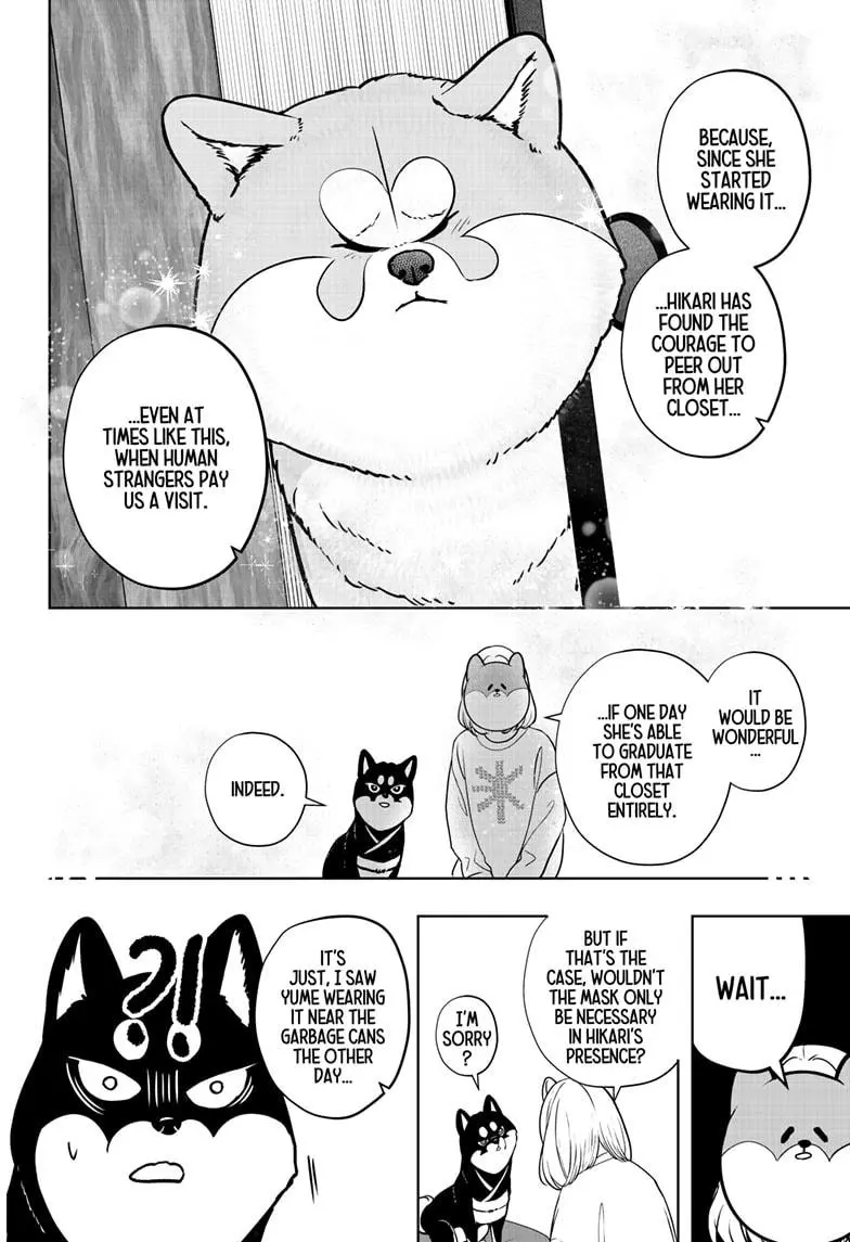 Shiba Inu Rooms - Chapter 12