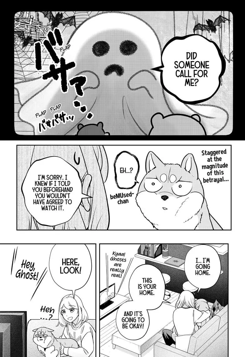 Shiba Inu Rooms - Chapter 12