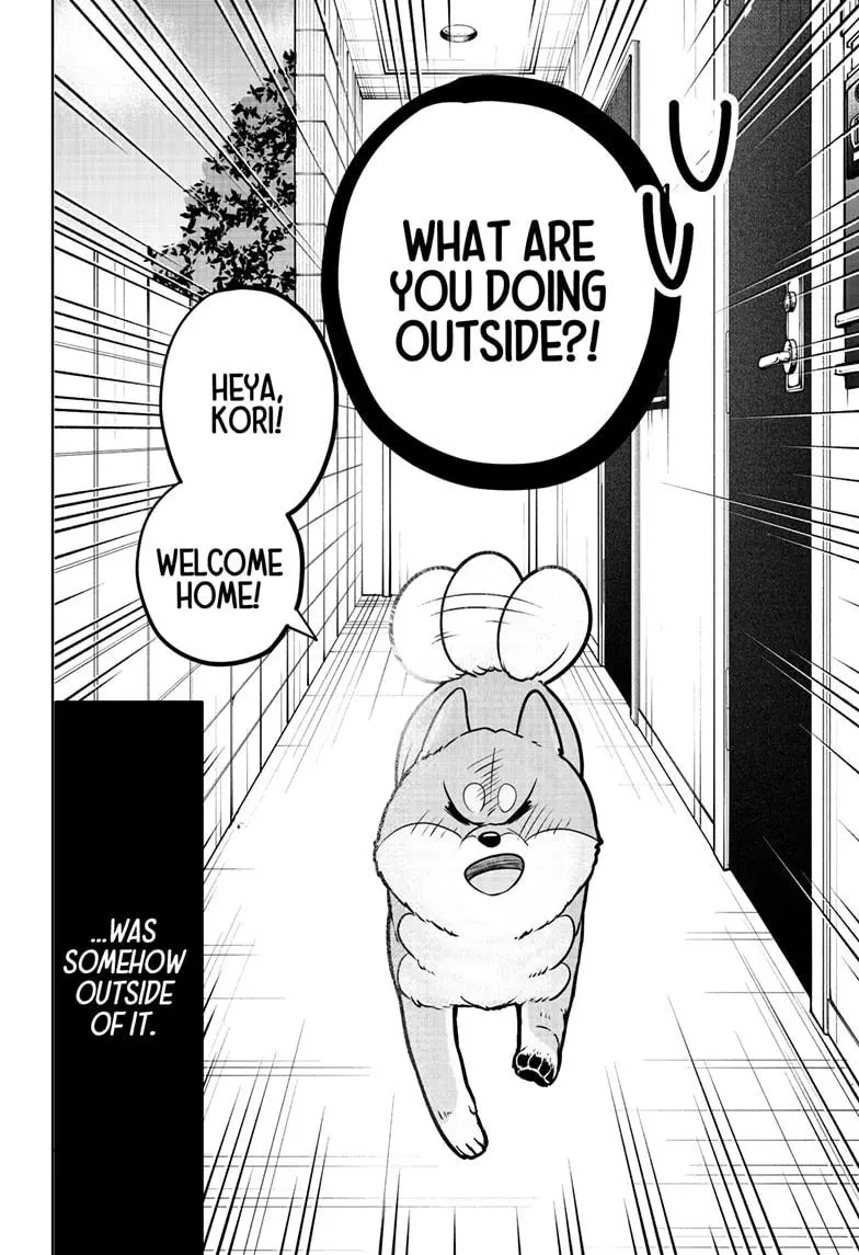 Shiba Inu Rooms - Chapter 10