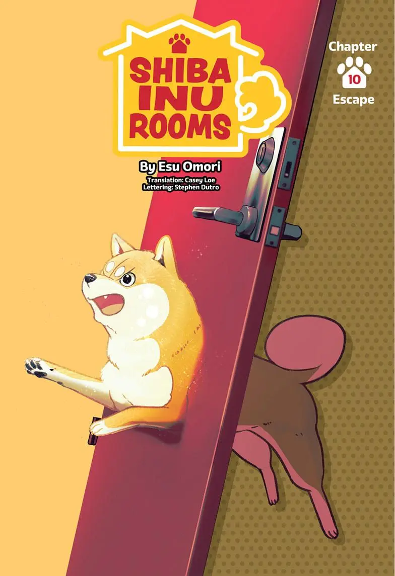 Shiba Inu Rooms - Chapter 10