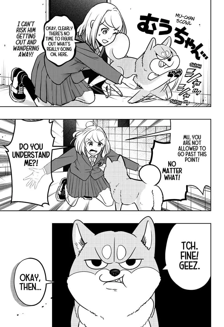 Shiba Inu Rooms - Chapter 10