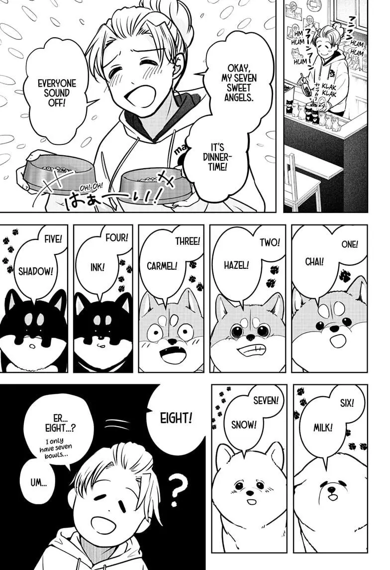 Shiba Inu Rooms - Chapter 10