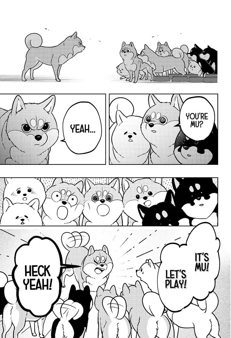 Shiba Inu Rooms - Chapter 10