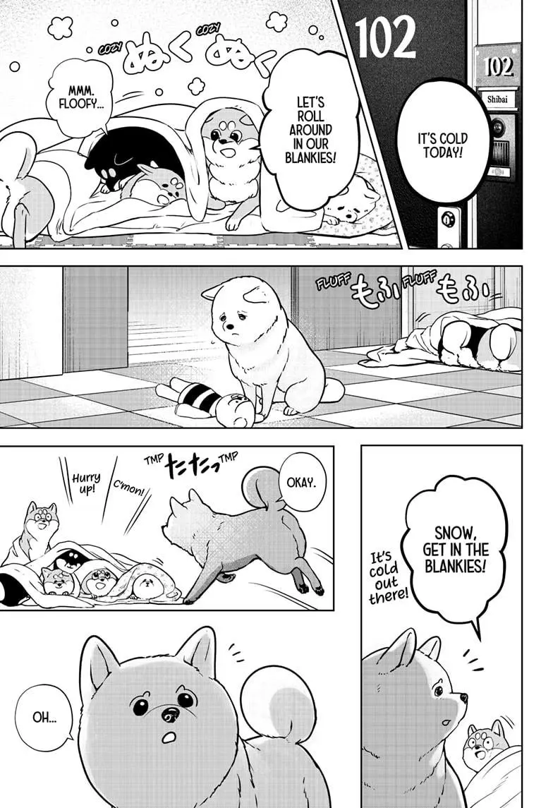 Shiba Inu Rooms - Chapter 10