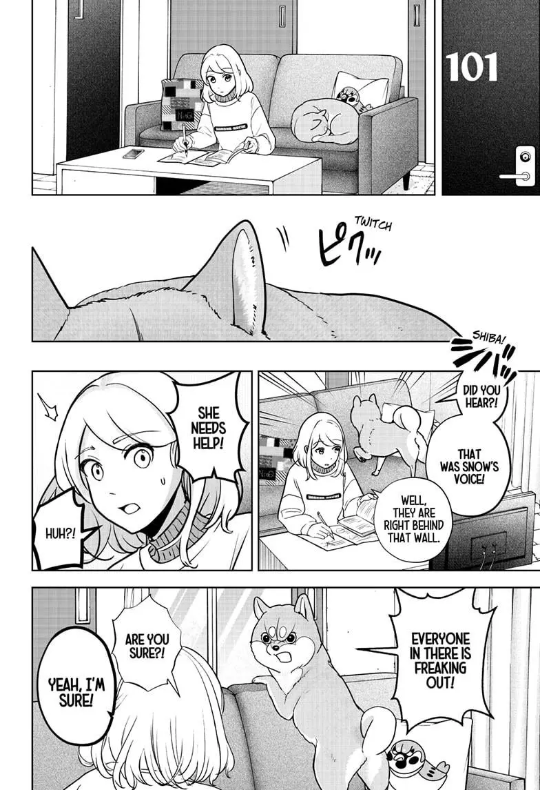 Shiba Inu Rooms - Chapter 10