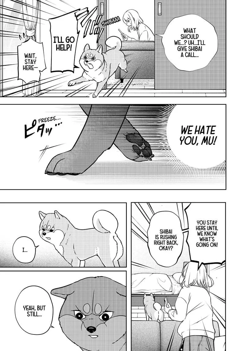 Shiba Inu Rooms - Chapter 10