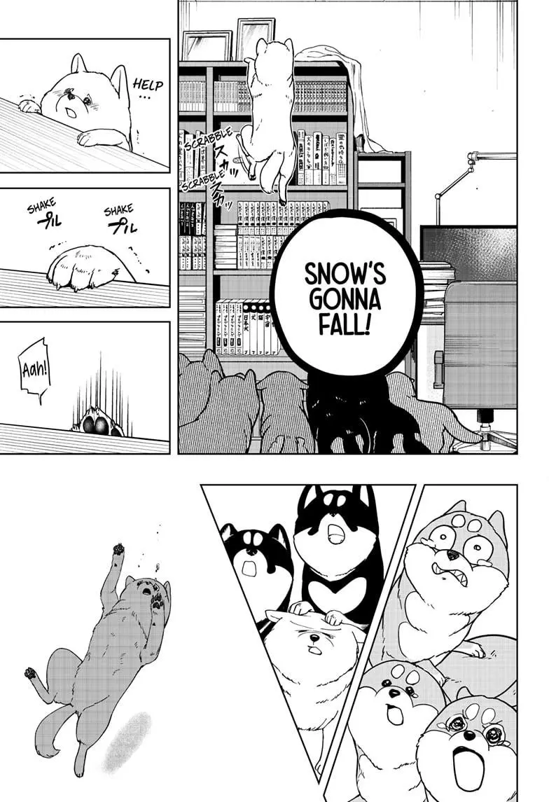 Shiba Inu Rooms - Chapter 10