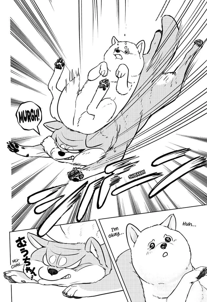 Shiba Inu Rooms - Chapter 10