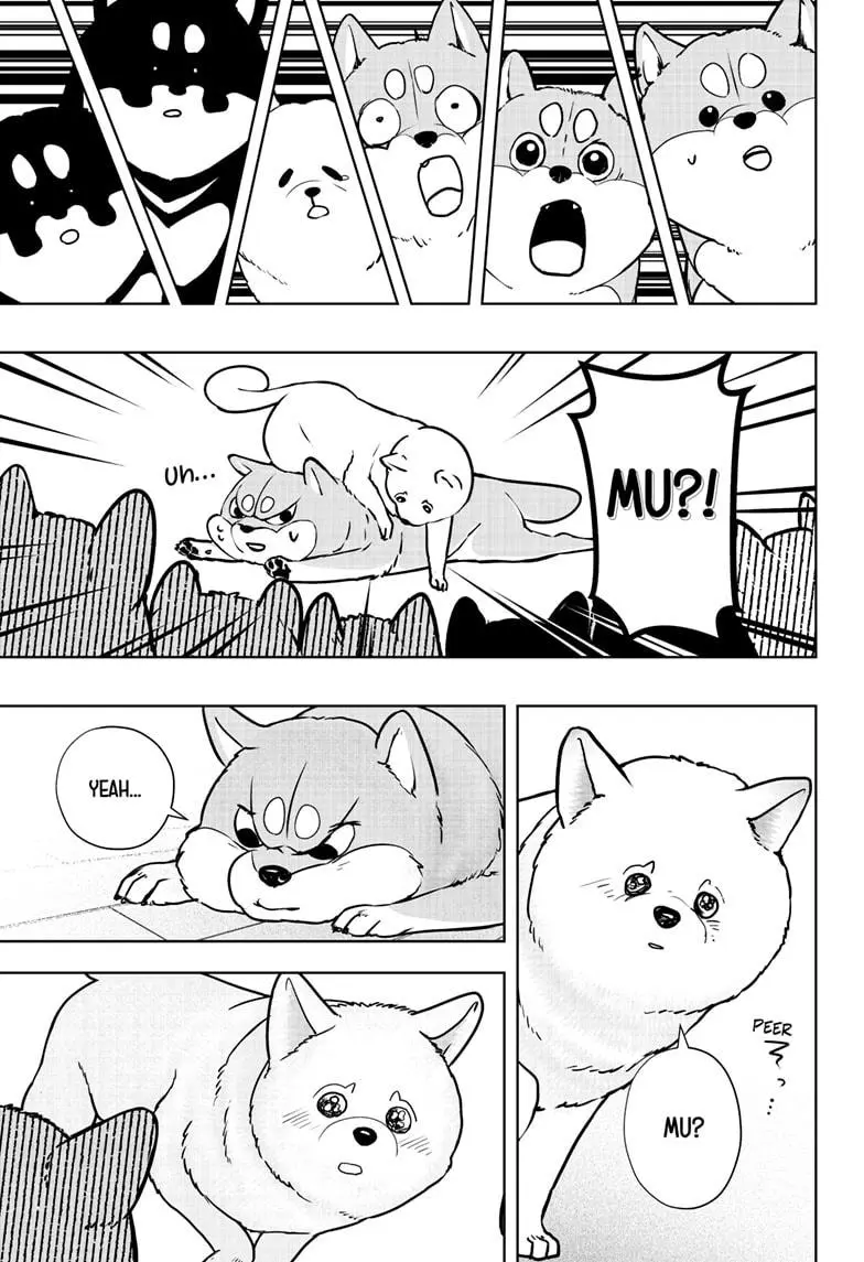 Shiba Inu Rooms - Chapter 10