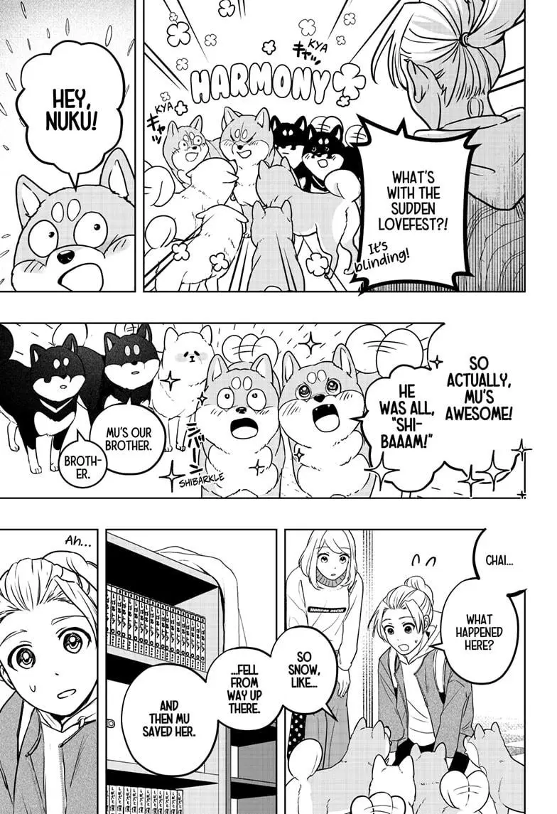 Shiba Inu Rooms - Chapter 10