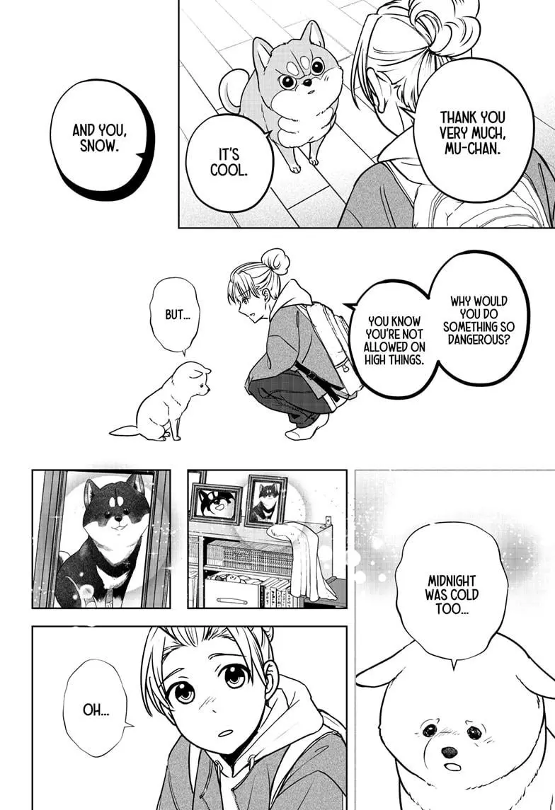 Shiba Inu Rooms - Chapter 10