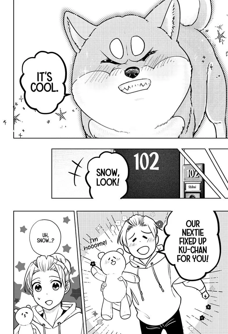 Shiba Inu Rooms - Chapter 10