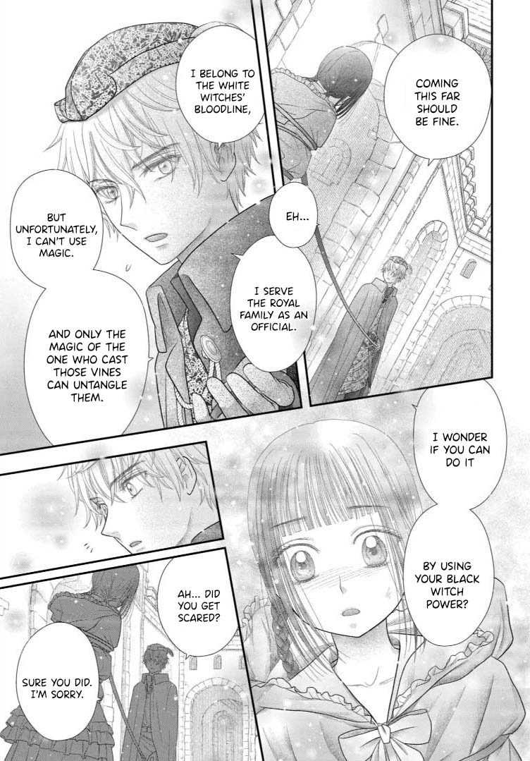 Champignon No Majo - Vol.4 Chapter 19: Reunion