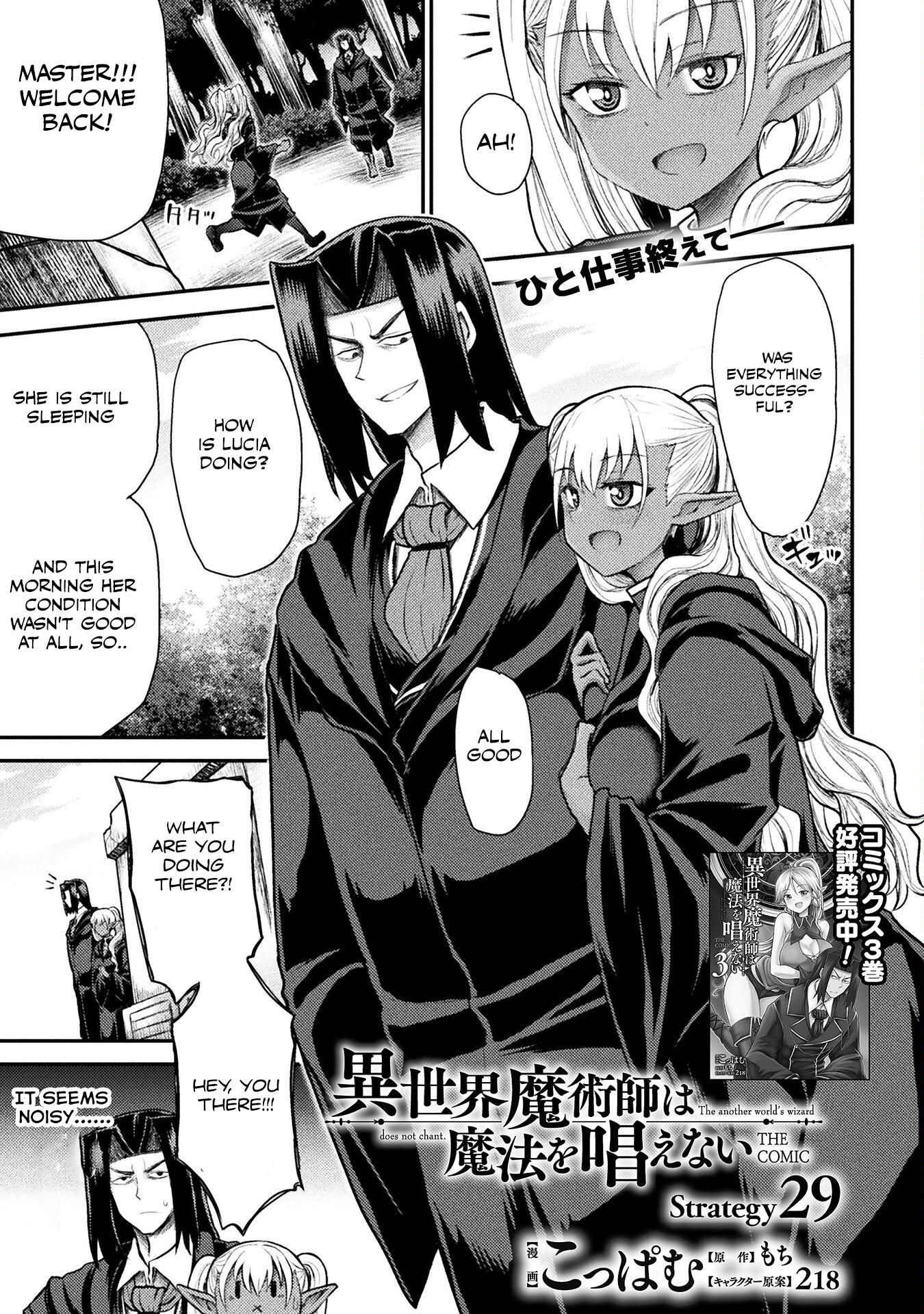 The Other World's Wizard Does Not Chant - Chapter 29