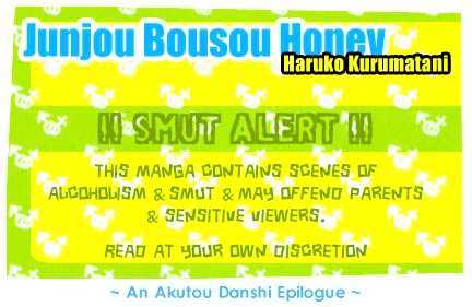 Honnou Motto Midaretai - Vol.1 Chapter 2 : Junjou Bousou Honey