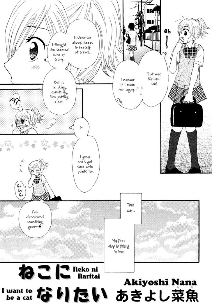 Yuri Hime Wildrose - Vol.2 Chapter 9 : Neko Ni Naritai