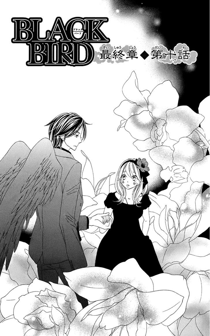 Black Bird - Vol.16 Chapter 63