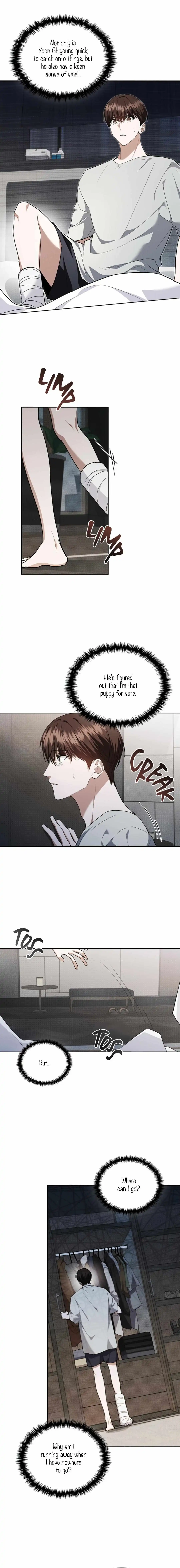 Don't Mess With The Puppy! - Chapter 16