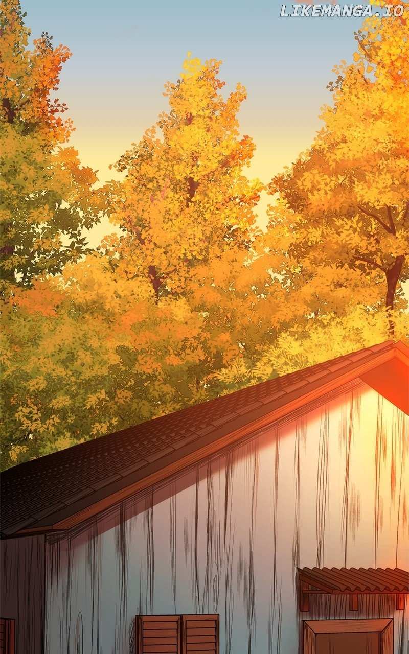 Roots Of The Heart - Chapter 10