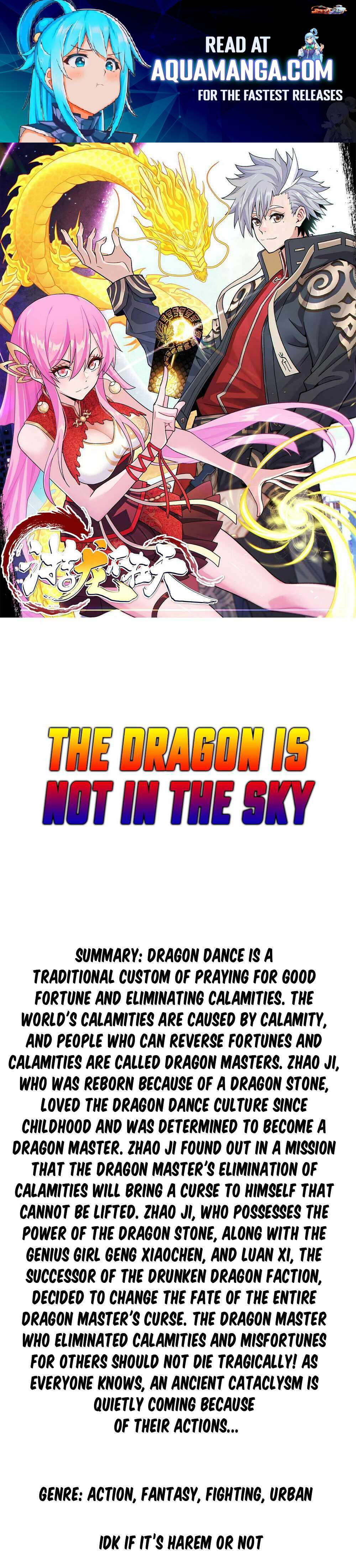 The Dragon Is Not In The Sky - Chapter 0