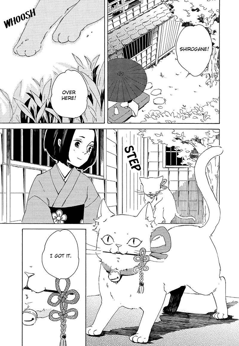 Kottou Nekoya - Chapter 4