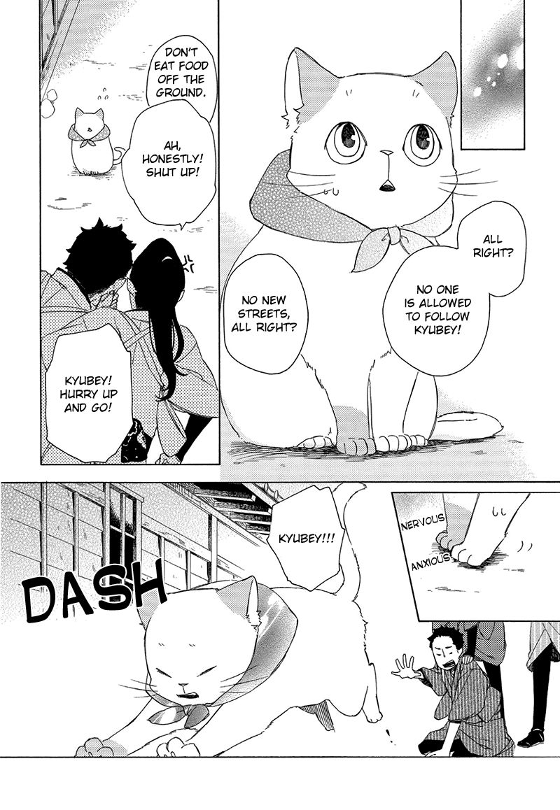 Kottou Nekoya - Chapter 006 : Postal Cats