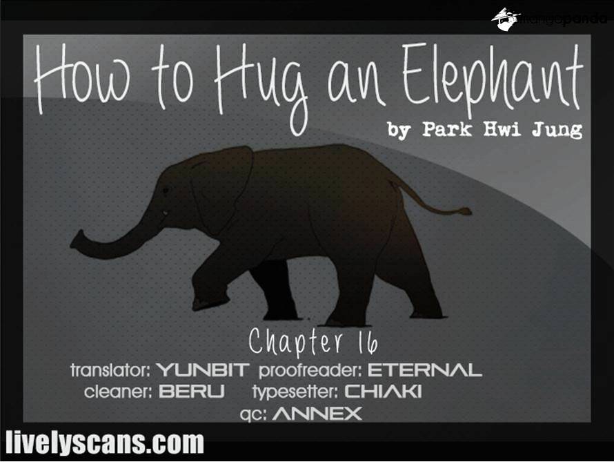 How To Hug An Elephant - Chapter 16