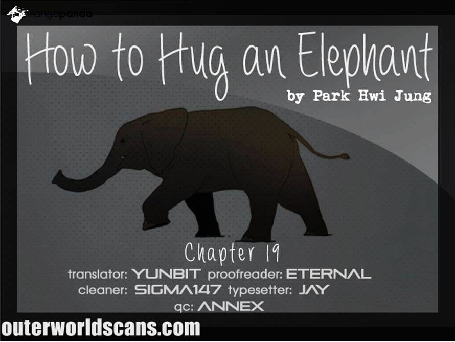 How To Hug An Elephant - Chapter 19