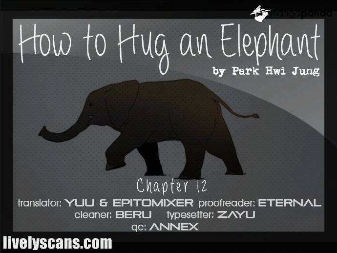 How To Hug An Elephant - Chapter 12